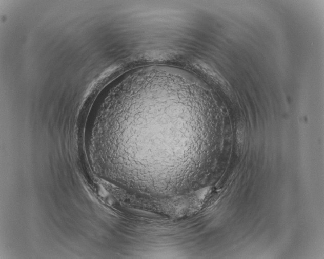 X0000072970492200608111720