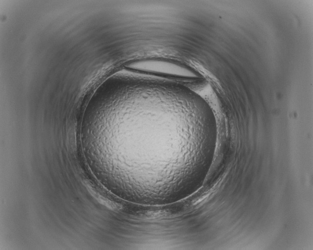 X0000072970493200608111720