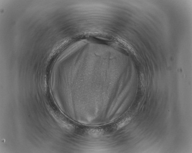 X0000072970494200608111720