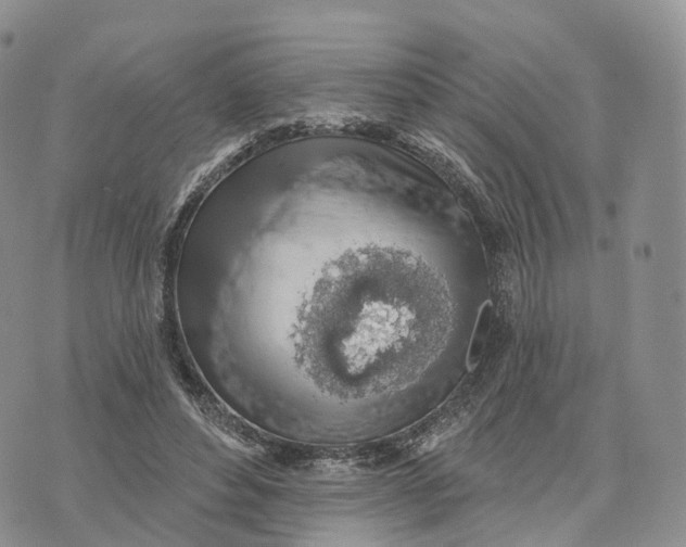 X0000072970496200608111720