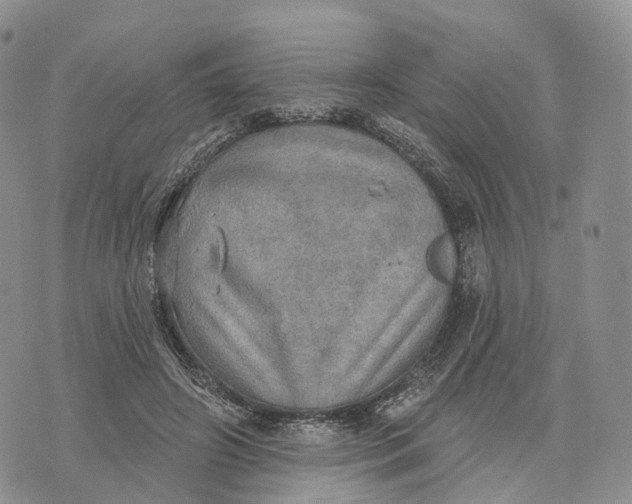 X0000072970498200608111720