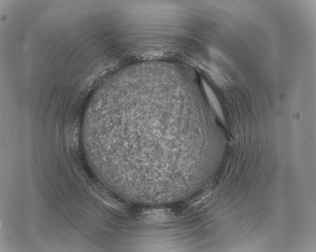 X0000072970499200608111720