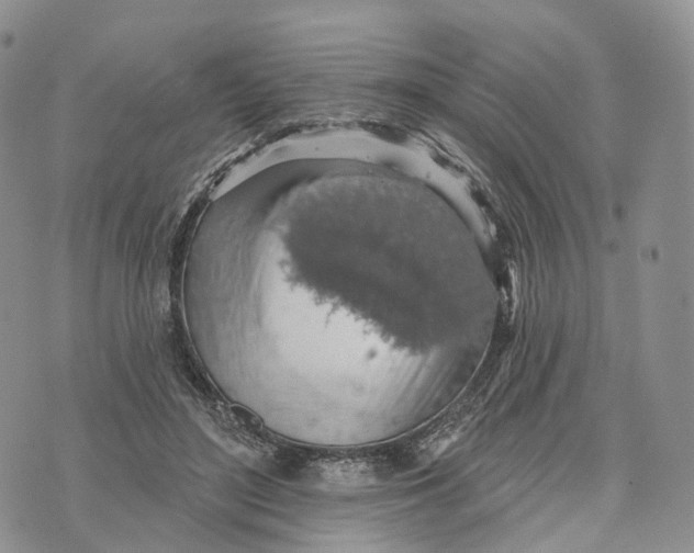 X0000072970500200608111720