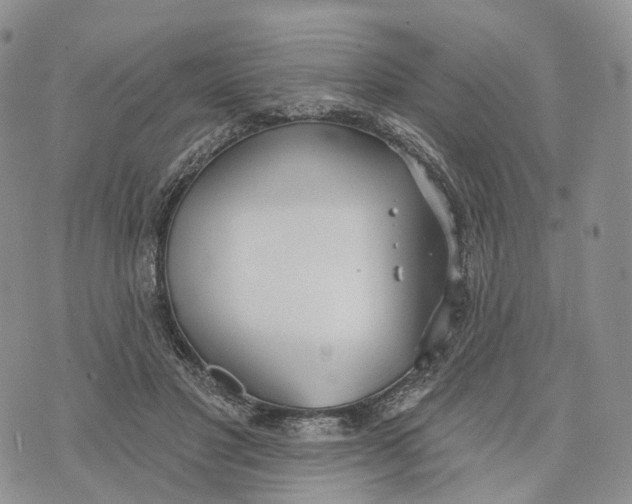 X0000072970501200608111720