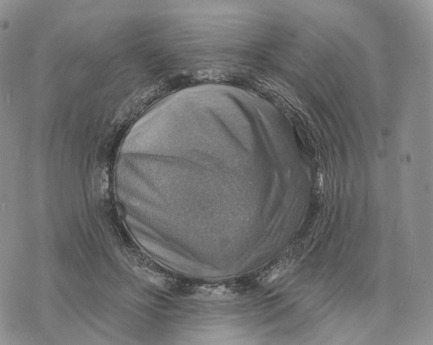 X0000072970502200608111720