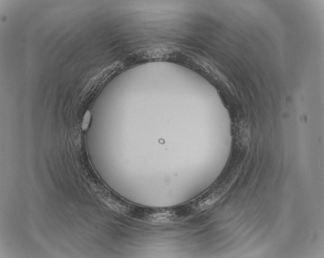 X0000072970505200608111719