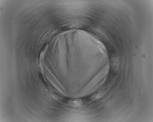 X0000072970506200608111719