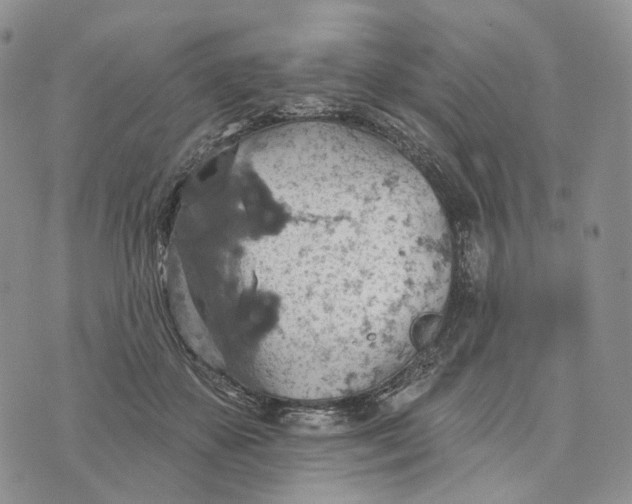 X0000072970507200608111719