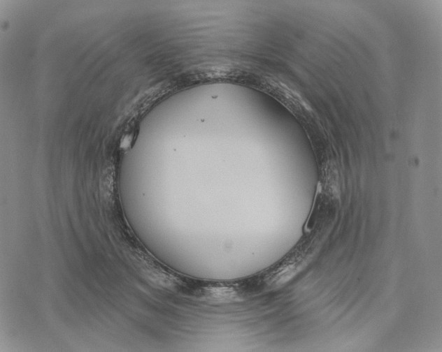 X0000072970509200608111719