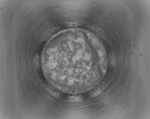 X0000072970511200608111719