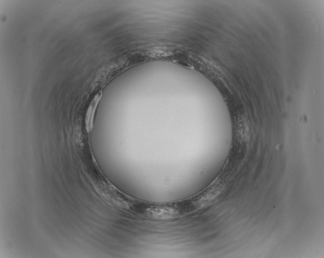 X0000072970512200608111719