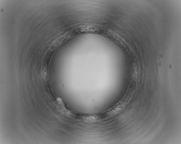 X0000072970513200608111719