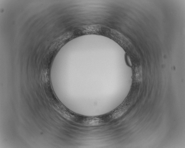 X0000072970514200608111719