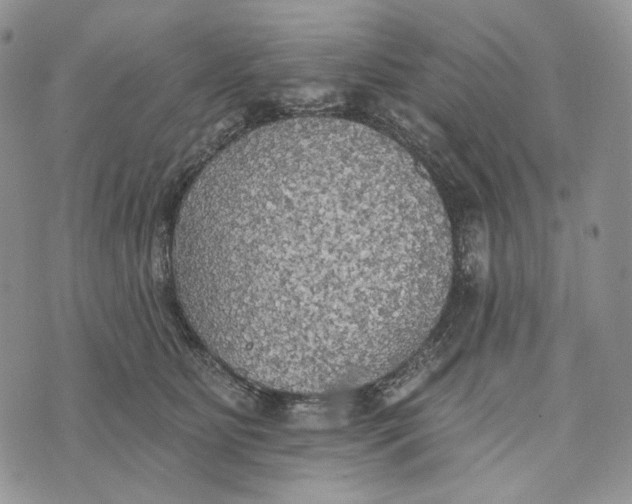 X0000072970515200608111719