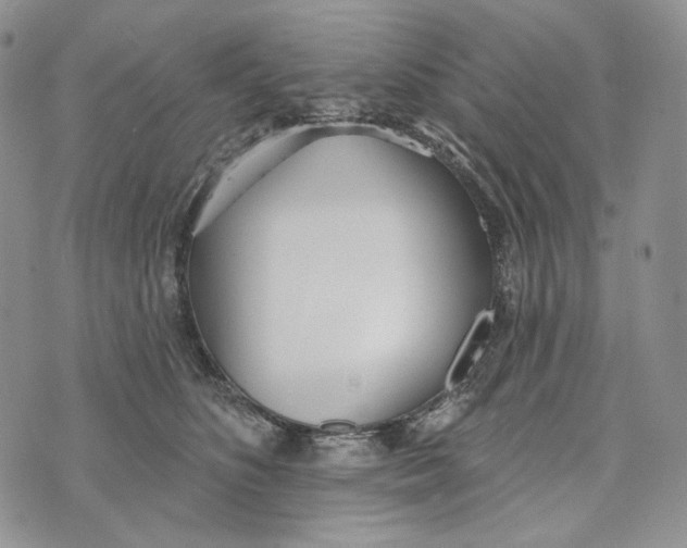 X0000072970516200608111719