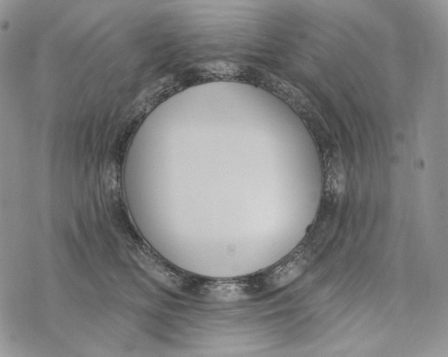 X0000072970518200608111719