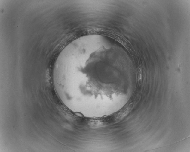 X0000072970519200608111719