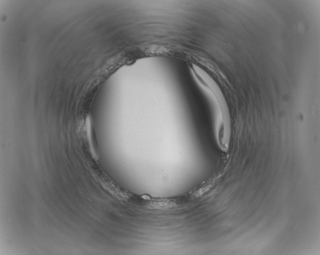 X0000072970521200608111719