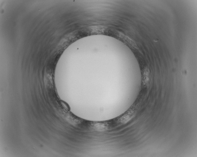 X0000072970522200608111719