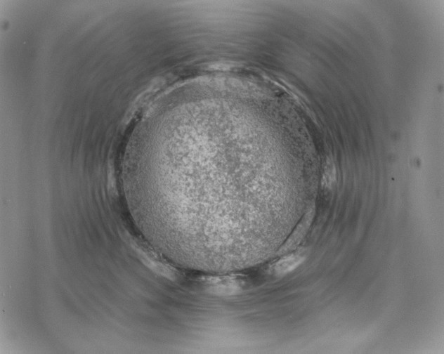 X0000072970524200608111719