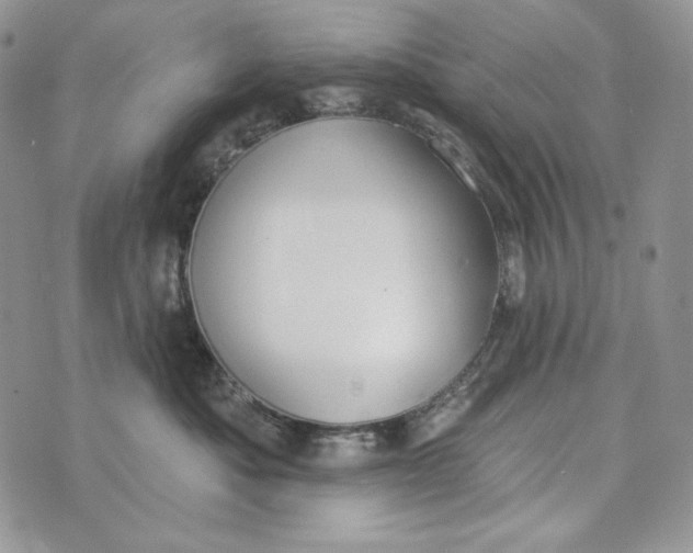 X0000072970525200608111719