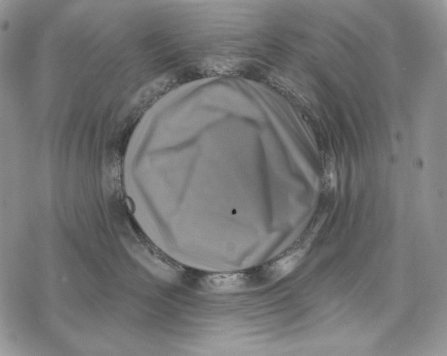 X0000072970526200608111719