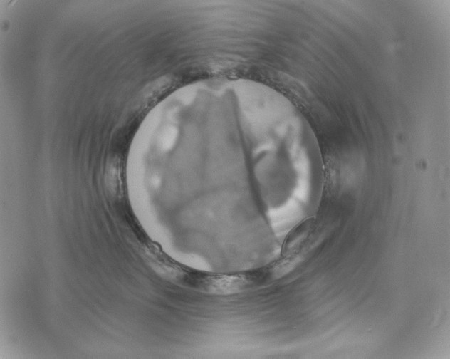 X0000072970527200608111719