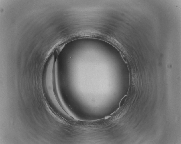 X0000072970530200608111718