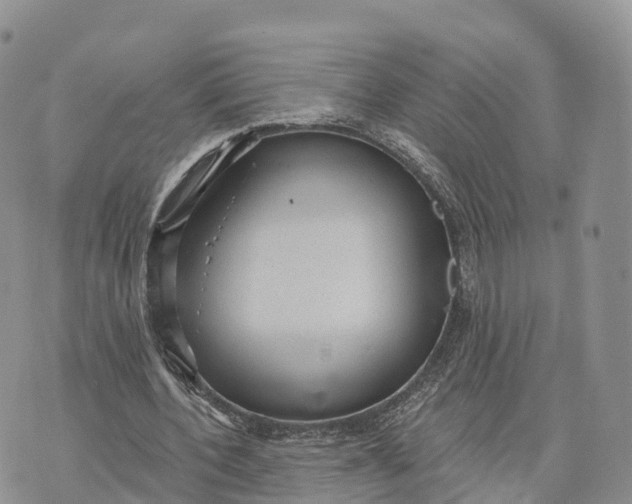 X0000072970532200608111718