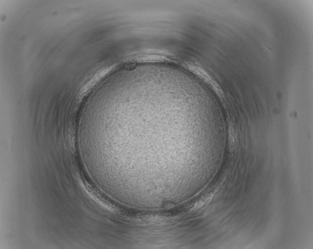 X0000072970533200608111718