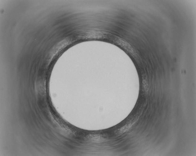 X0000072970534200608111718