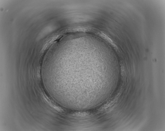 X0000072970537200608111718