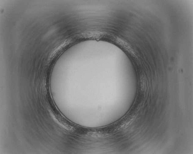 X0000072970538200608111718