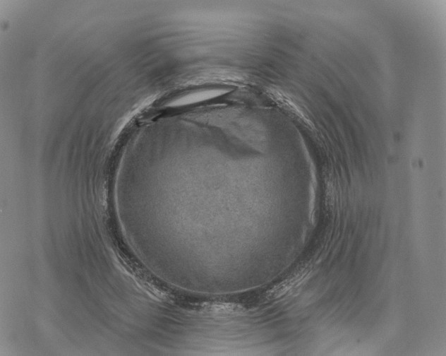 X0000072970539200608111718