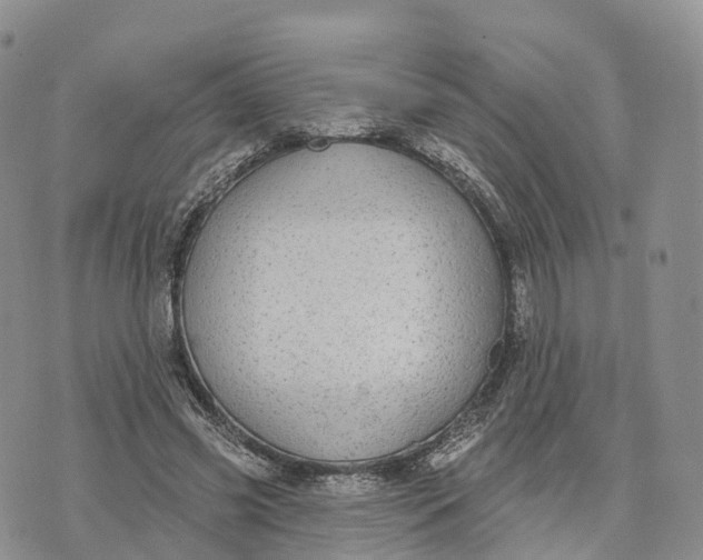 X0000072970541200608111719