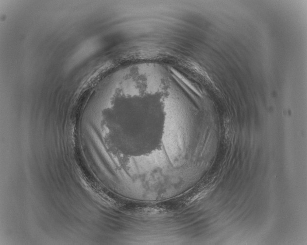 X0000072970542200608111719