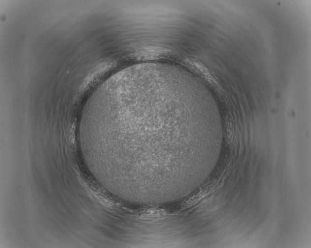 X0000072970543200608111719