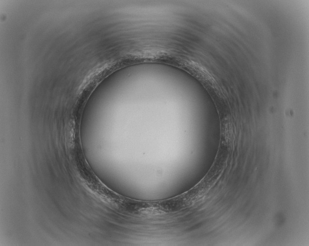 X0000072970544200608111719