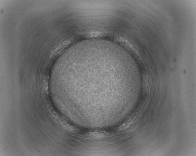 X0000072970545200608111719