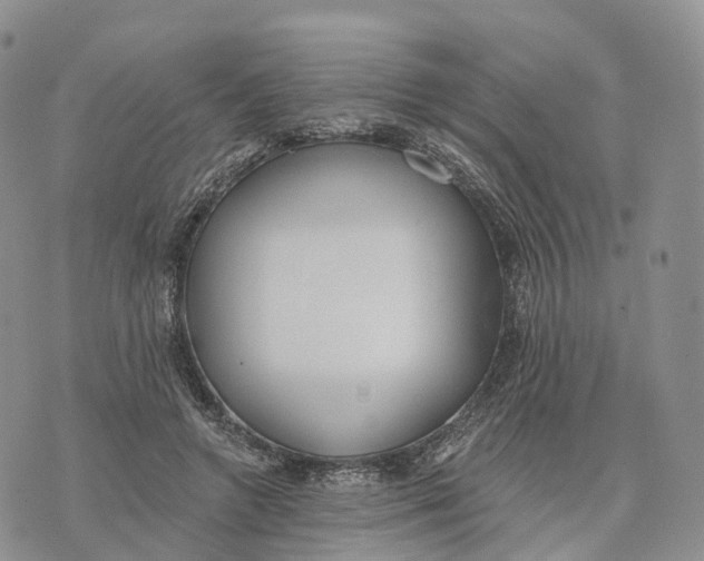 X0000072970546200608111719