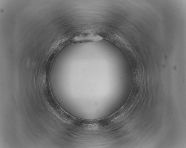 X0000072970548200608111719