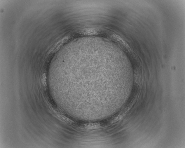 X0000072970549200608111719