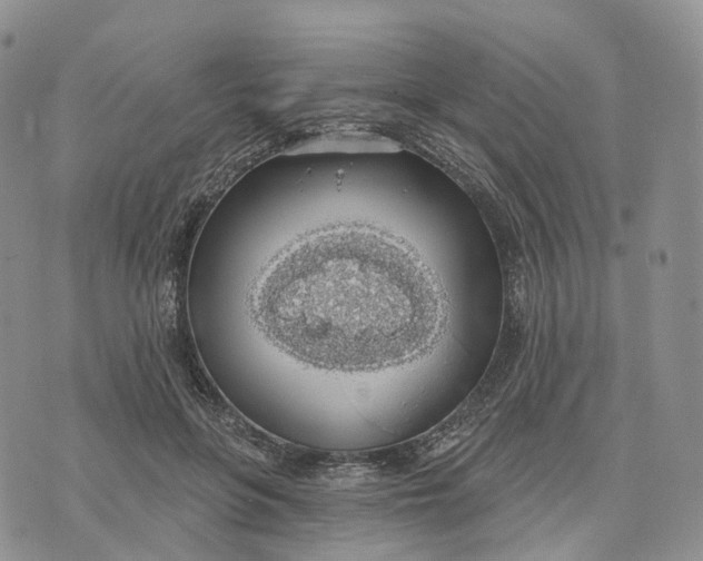 X0000072970551200608111719