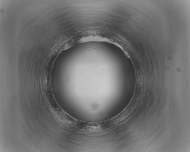 X0000072970552200608111719