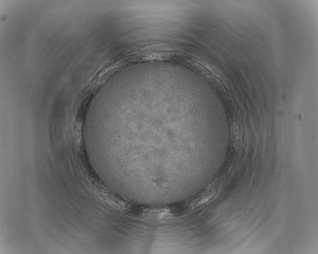 X0000072970554200608111719