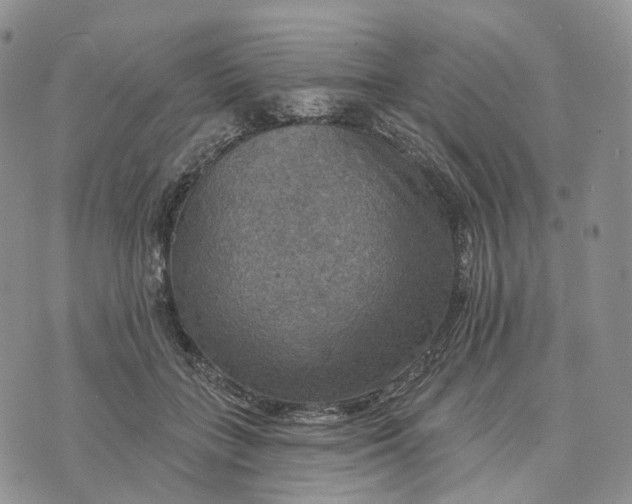 X0000072970555200608111719