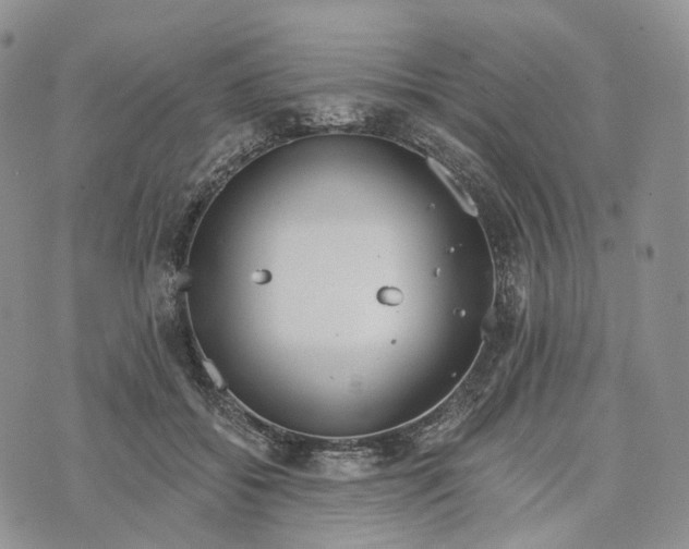 X0000072970556200608111719