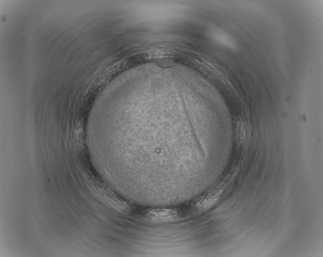 X0000072970557200608111719