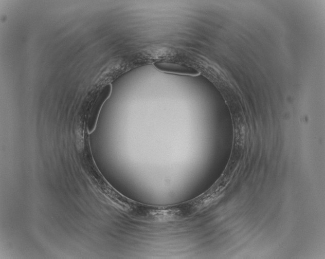 X0000072970558200608111719