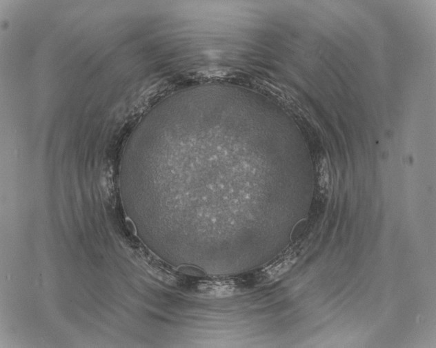 X0000072970559200608111719